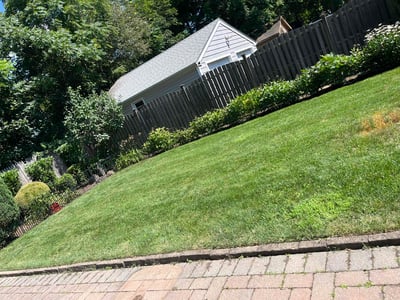 Lawn Care service in Nutley, 07110