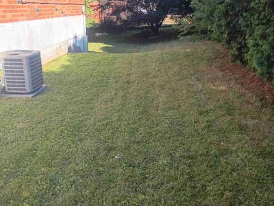 Lawn Care service in Havertown, 19083