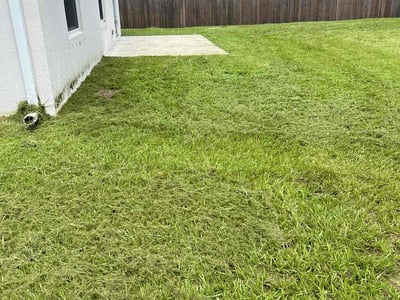 Lawn Care service in Palm Bay, 32905
