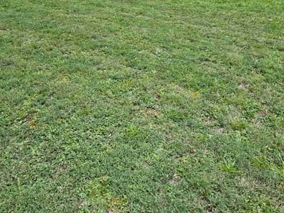 Lawn Care service in North Brunswick, 08902