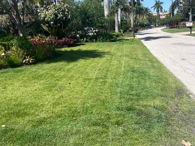 Lawn Care service in Naples, 34102