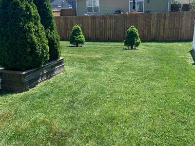 Lawn Care service in Downingtown, 19335