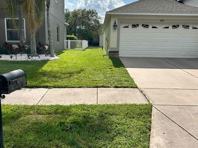 Lawn Care service in Holiday, 34691