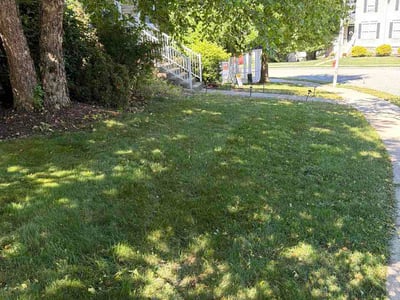 Lawn Care service in Washington, 07882