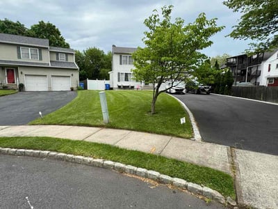 Lawn Care service in Middlesex County, 08857