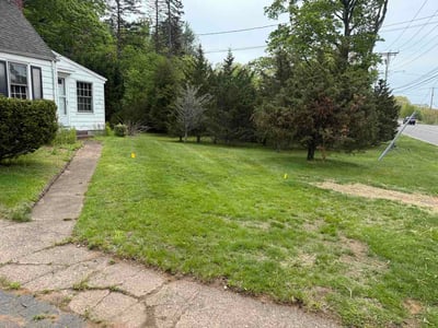 Lawn Care service in New Haven County, 06471