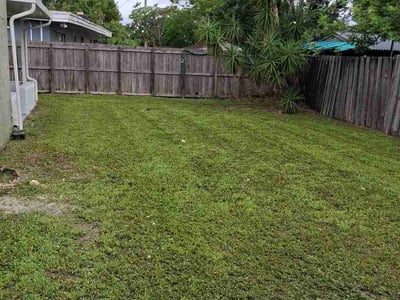 Lawn Care service in Hollywood, 33020