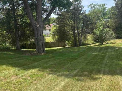 Lawn Care service in Burke, 22009