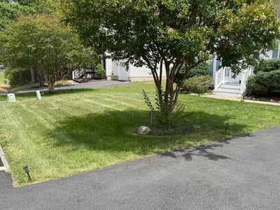 Lawn Care service in Burke, 22009