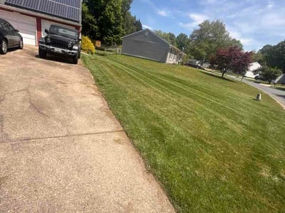 Lawn Care service in Potomac, 20036