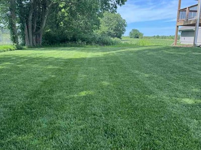 Lawn Care service in Liberty, 64068