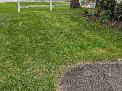 Lawn Care service in Rockford, 49341