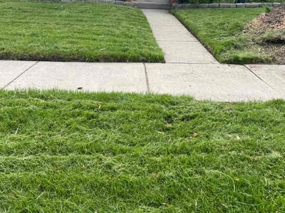 Lawn Care service in Rockford, 49341