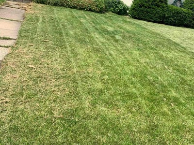 Lawn Care service in Zimmerman, 55398