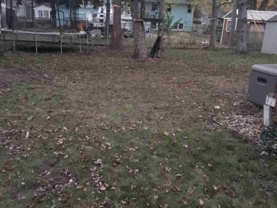 Lawn Care service in Zimmerman, 55398