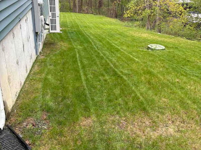 Lawn Care service in Spencer, 01562