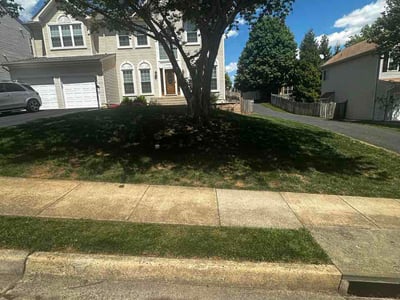 Lawn Care service in Stafford, 22554