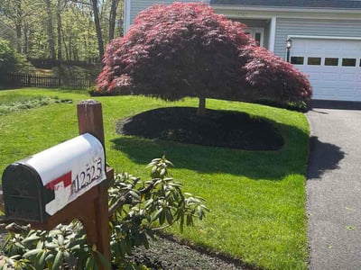 Lawn Care service in Purcellville, 20132