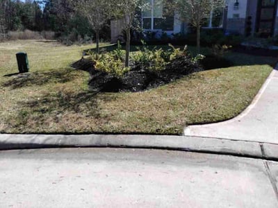 Lawn Care service in Cambridge, 02138