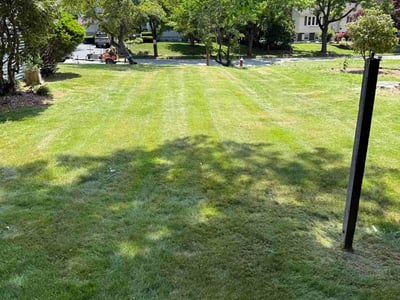 Lawn Care service in Shrewsbury, 01545