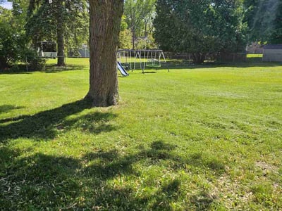 Lawn Care service in Harrison Township, 48045
