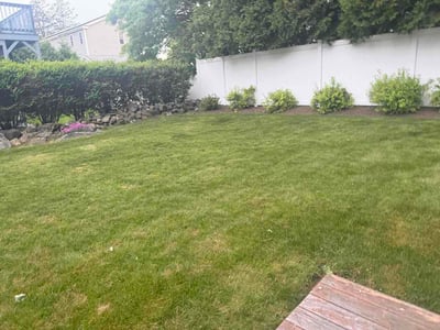 Lawn Care service in Milford, 01757