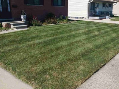 Lawn Care service in Madison Heights, 48071