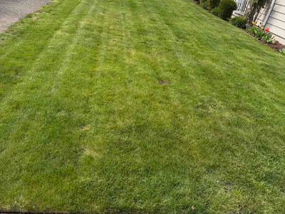 Lawn Care service in Lake Oswego, 97034