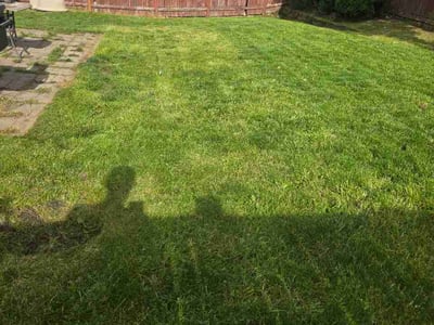 Lawn Care service in Marysville, 98270