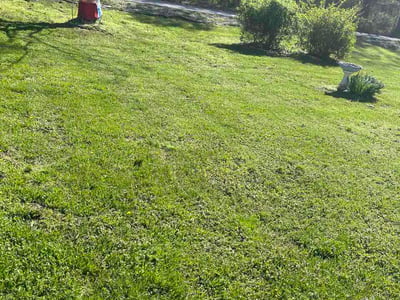 Lawn Care service in La Plata, 20646