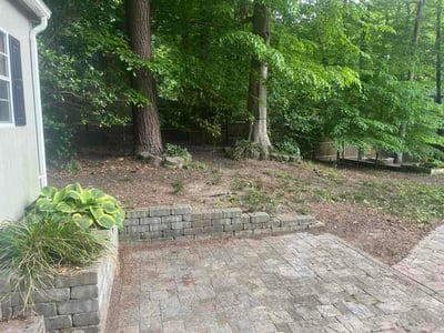 Leaf Removal service in Henrico, 23294