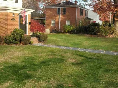 Leaf Removal service in Henrico, 23294