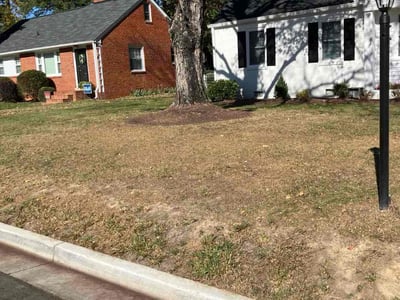 Leaf Removal service in Henrico, 23294