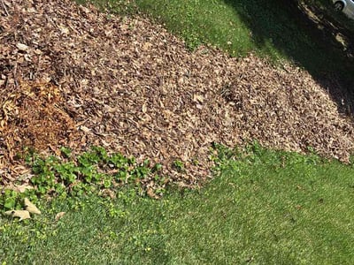 Leaf Removal service in Henrico, 23294