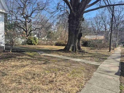 Leaf Removal service in Henrico, 23294