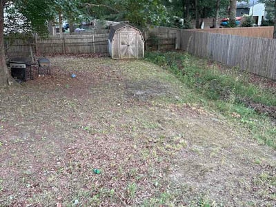 Leaf Removal service in Henrico, 23294