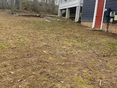 Leaf Removal service in Henrico, 23294