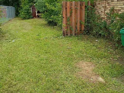 Leaf Removal service in Metairie, 70001