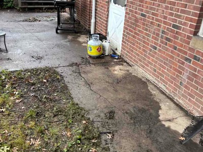 Leaf Removal service in Parma, 44129