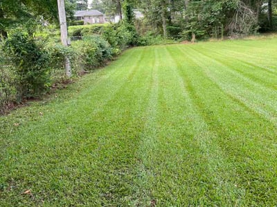 Leaf Removal service in Sherwood, 72120