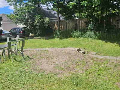 Leaf Removal service in Roseville, 55113