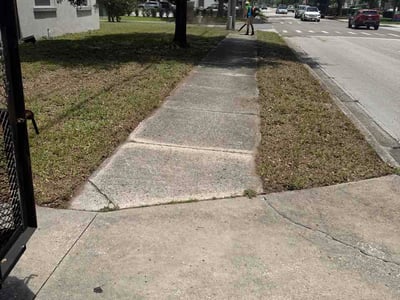Leaf Removal service in Kissimmee, 34741