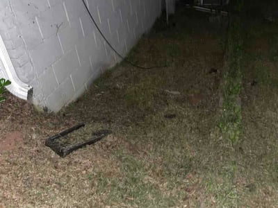 Leaf Removal service in Edmond, 73034