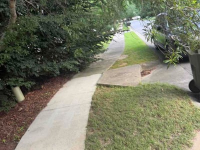 Leaf Removal service in Myrtle Beach, 29577