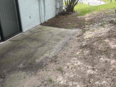 Leaf Removal service in Lakeland, 33801