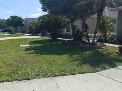 Leaf Removal service in Lakeland, 33801