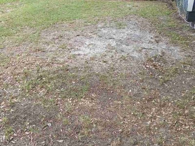 Leaf Removal service in Lakeland, 33801