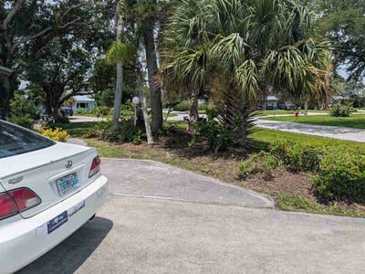 Leaf Removal service in Lakeland, 33801