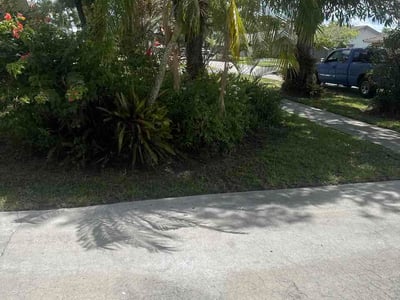 Leaf Removal service in Lakeland, 33801