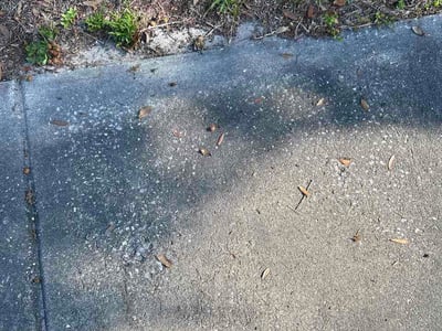 Leaf Removal service in Lakeland, 33801
